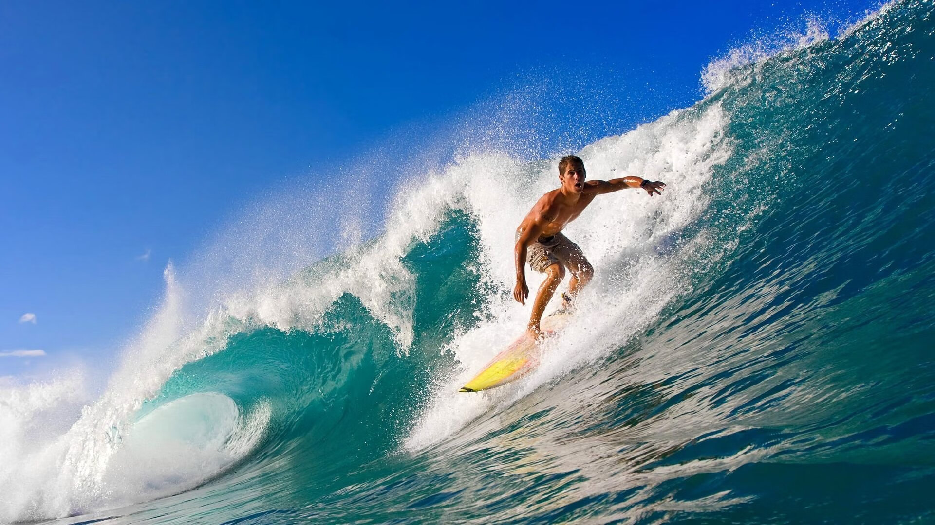 教练强调团队合作精神